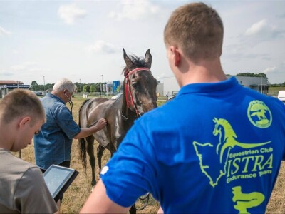 Barban - Istra Barban - Istra