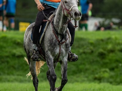 Barban - Istra Barban - Istra