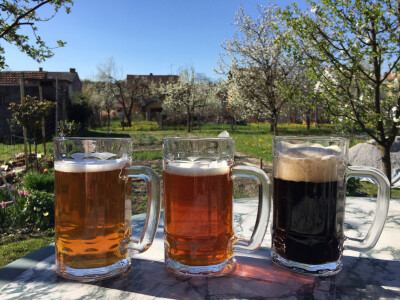 Vrste craft piva iz domaće proizvodnje