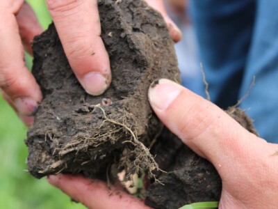 Barenbrug, studijsko putovanje u Rusiju