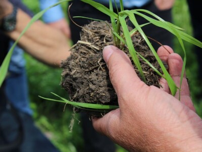 Barenbrug, studijsko putovanje u Rusiju Barenbrug, studijsko putovanje u Rusiju