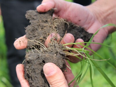 Barenbrug, studijsko putovanje u Rusiju Barenbrug, studijsko putovanje u Rusiju