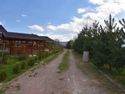 Baš Bašča: Šefket Hrustanović danas uživa u plodovima svog predanog rada Baš Bašča: Šefket Hrustanović danas uživa u plodovima svog predanog rada