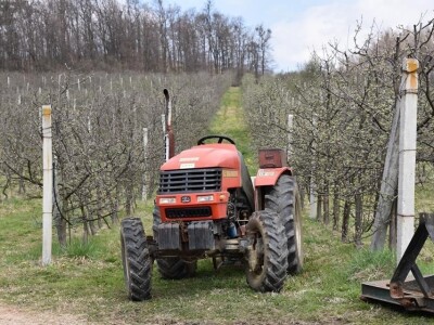 Baš Bašča: Šefket Hrustanović danas uživa u plodovima svog predanog rada Baš Bašča: Šefket Hrustanović danas uživa u plodovima svog predanog rada