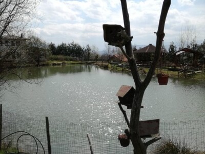 Baš Bašča: Šefket Hrustanović danas uživa u plodovima svog predanog rada Baš Bašča: Šefket Hrustanović danas uživa u plodovima svog predanog rada