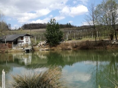 Baš Bašča: Šefket Hrustanović danas uživa u plodovima svog predanog rada Baš Bašča: Šefket Hrustanović danas uživa u plodovima svog predanog rada