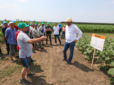 BASF Dani polja u Đurđinu i Pančevu