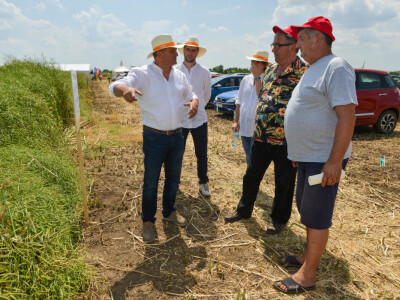 BASF Dani polja u Đurđinu i Pančevu