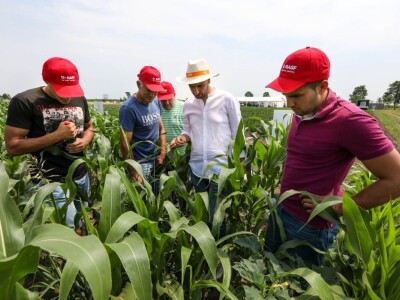 BASF Dani polja u Đurđinu i Pančevu