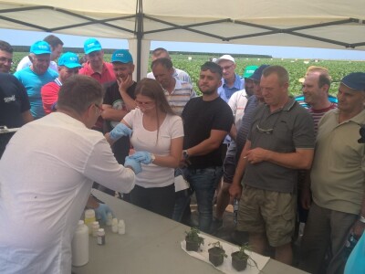 BASF Dani polja u Đurđinu i Pančevu