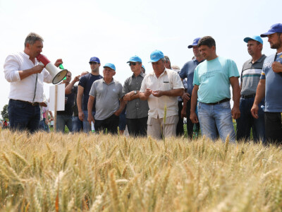 BASF Dani polja u Đurđinu i Pančevu