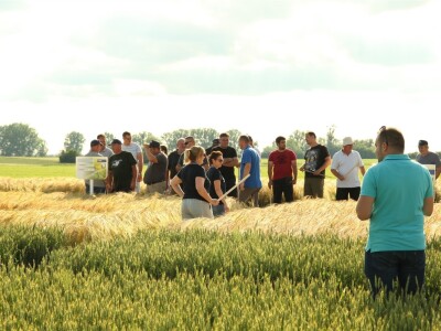 BASF Dani polja u Vaškoj 2022.