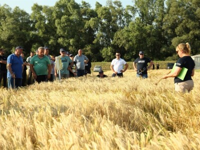 BASF Dani polja u Vaškoj 2022.