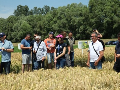 BASF Dani polja u Vaškoj 2022.