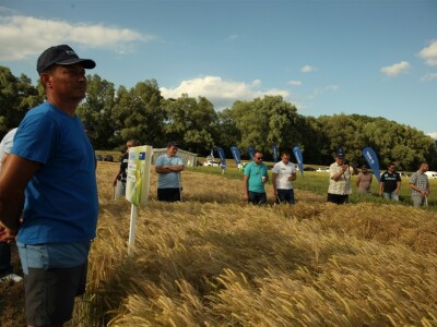 BASF Dani polja u Vaškoj 2022.