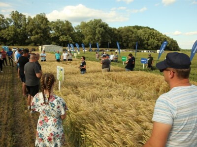 BASF Dani polja u Vaškoj 2022.