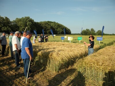 BASF Dani polja u Vaškoj 2022.