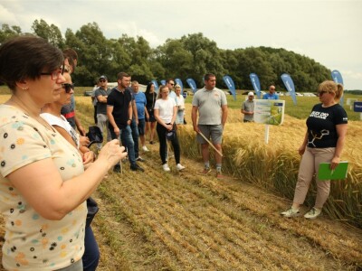 BASF Dani polja u Vaškoj 2022.