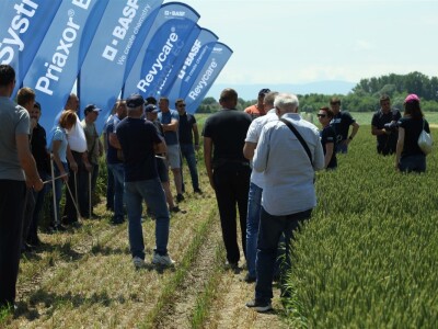 BASF Dani polja u Vaškoj 2022.