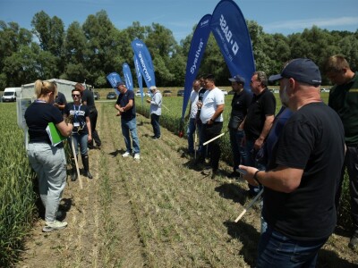 BASF Dani polja u Vaškoj 2022.