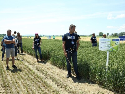 BASF Dani polja u Vaškoj 2022.