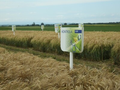 BASF Dani polja u Vaškoj 2022.