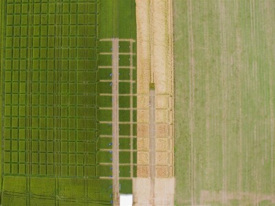 BASF Dani polja u Vaškoj 2022.