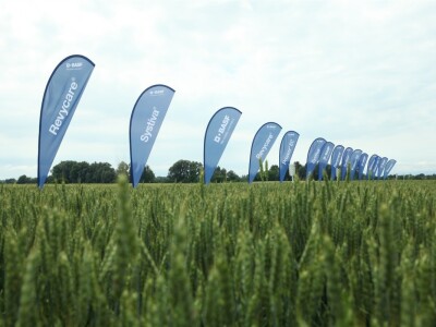 BASF Dani polja u Vaškoj 2022.