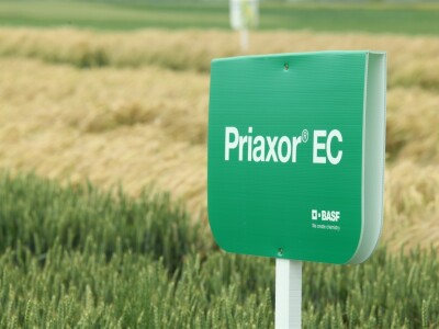 BASF Dani polja u Vaškoj 2022.