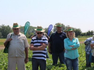 BASF Dan polja, Slakovci