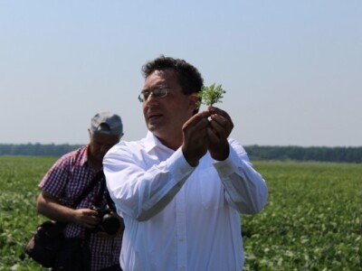 Iličnić o suzbijanju ambrozije