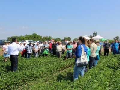 BASF Dan polja, Slakovci