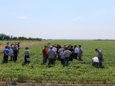 BASF Dan polja, Slakovci