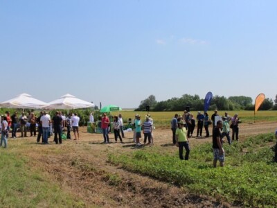 BASF Dan polja, Slakovci