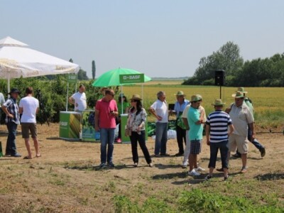 BASF Dan polja, Slakovci