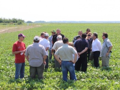 BASF Dan polja, Slakovci