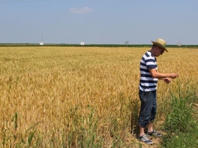 BASF Dan polja, Slakovci