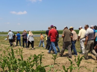 BASF Dan polja, Slakovci