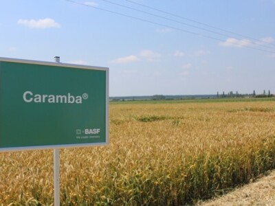 Caramba - sistemični fungicid iz skupine triazola