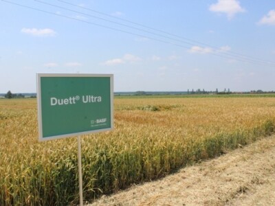 Duett Ultra - preventivni i kurativni sistemični fungicid