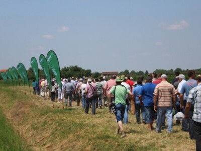 BASF Dan polja, Slakovci