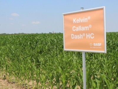 BASF Dan polja, Slakovci