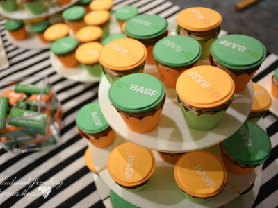 BASF na Zlatiboru 2017.