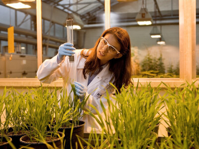 Snažan rast BASF-ovog sektora Zaštite bilja!