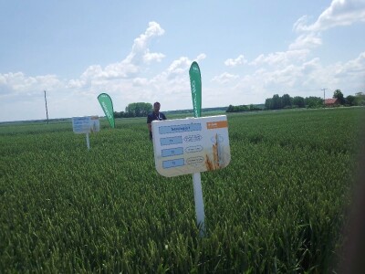 BASF radionica u Slakovcima