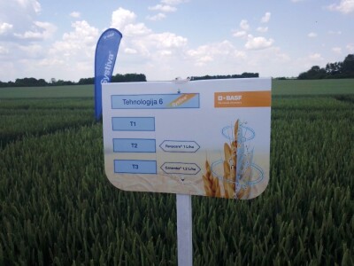 BASF radionica u Slakovcima