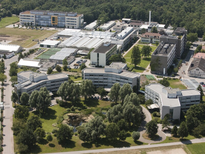 Snažan rast BASF-ovog sektora Zaštite bilja!