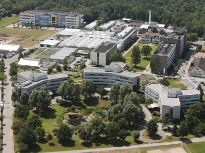 BASF komplex