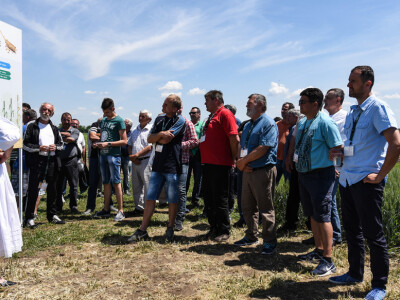 BASF Dan polja u Pančevu