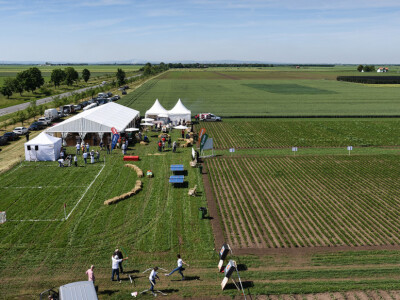 BASF Dan polja u Pančevu